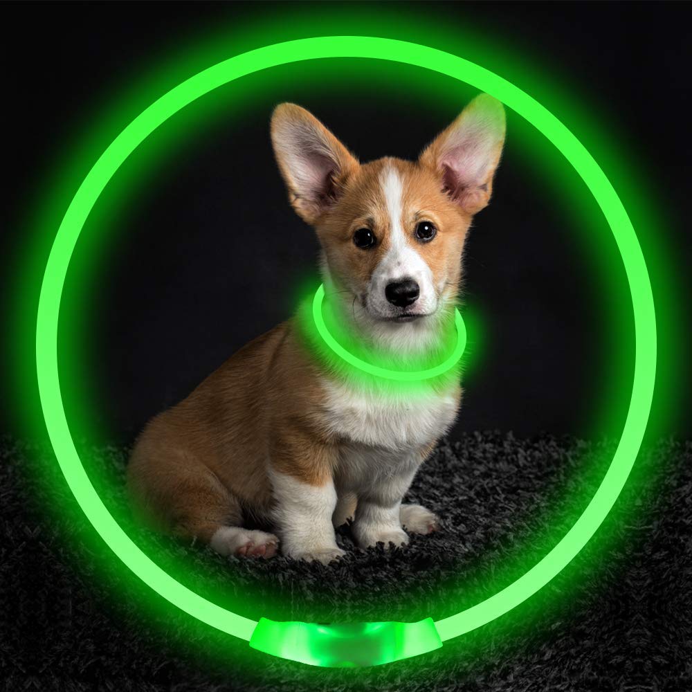 Pet Flashing Collar USB Rechargeable Glowing Necklace Safety Collar